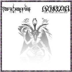 Formorket : Formorket - Der Wald Des Absterbens